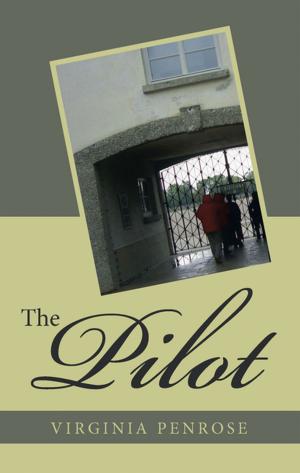Cover of the book The Pilot by Debbie Vanderslice