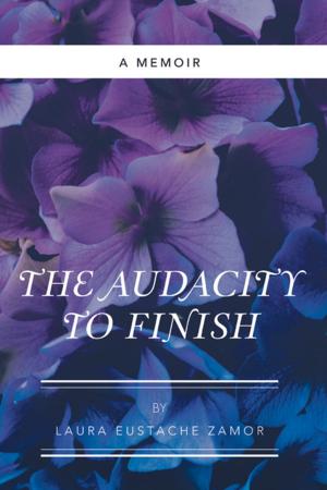 Cover of the book The Audacity to Finish by Robert L. Shepherd Jr.