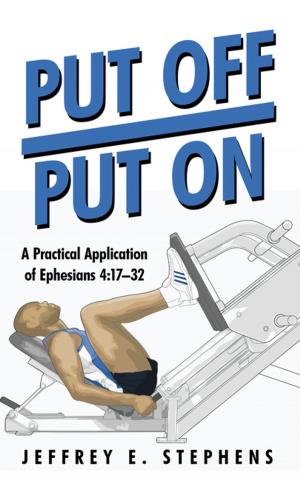 Cover of the book Put Off/Put On by Milly McDaniel