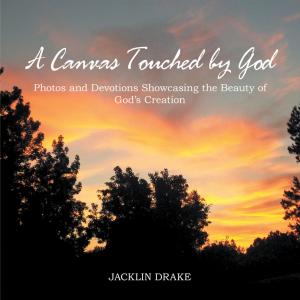 bigCover of the book A Canvas Touched by God by 