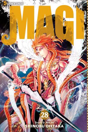 Book cover of Magi: The Labyrinth of Magic, Vol. 28