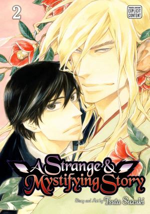Book cover of A Strange and Mystifying Story, Vol. 2 (Yaoi Manga)