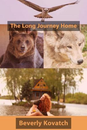 bigCover of the book The Long Journey Home by 