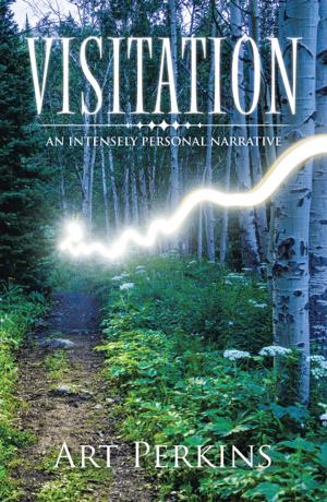 Cover of the book Visitation by LaTanya R. Winston