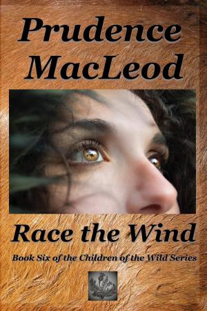 Cover of the book Race the Wind by HollyAnne Weaver