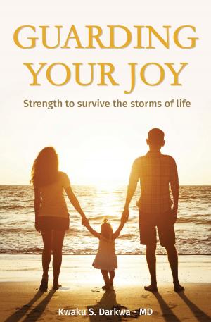Cover of the book Guarding Your Joy: Strength To Survive The Storms Of Life by Richard Roberts, Lindsay Roberts