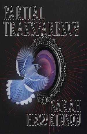 Cover of the book Partial Transparency by gipsika