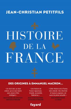 Cover of the book Histoire de la France by Max Gallo