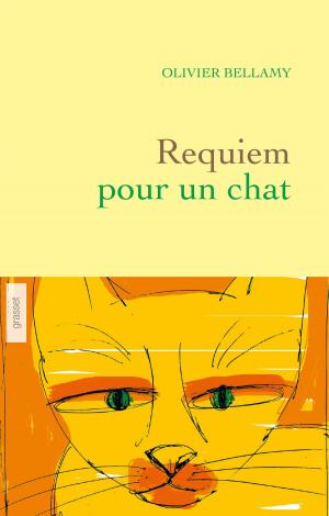 Cover of the book Requiem pour un chat by Véronique Olmi