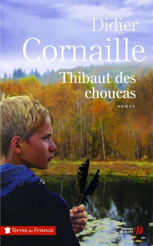 Cover of the book Thibaut des choucas by Laurence PIEAU, François VIGNOLLE