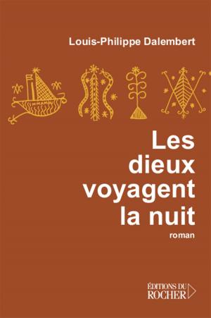 Cover of the book Les dieux voyagent la nuit by France Guillain