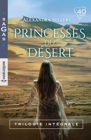 Book cover of Princesses du désert