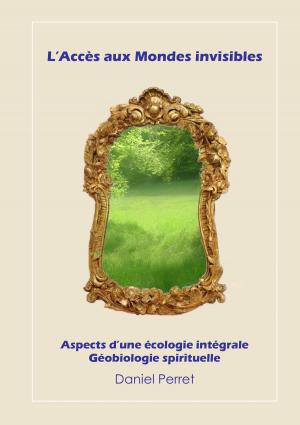 Cover of the book L'accès aux mondes invisibles by Josef Miligui