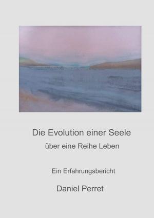Cover of the book Die Evolution einer Seele by Jan Finnja