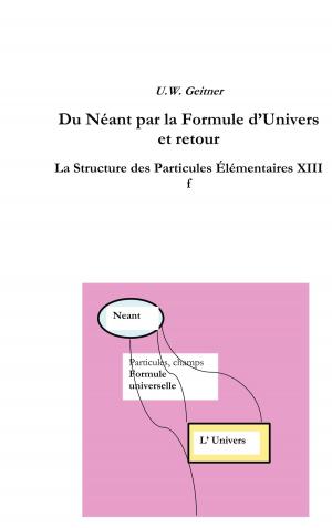 Cover of the book Du Néant à la Formule Universelle et retour by Sabine Heilemann