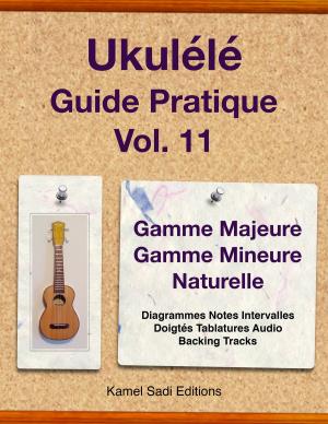 Cover of Ukulélé Guide Pratique Vol. 11