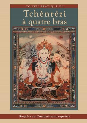 Book cover of Courte pratique de Tchènrézi à quatre bras