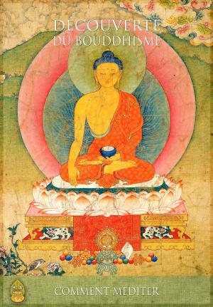 Cover of the book Comment méditer by Lama Zopa Rinpoché, Pabongkha Détchèn Nyingpo