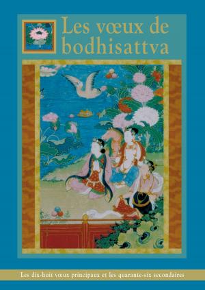 Book cover of Les vœux de bodhisattva