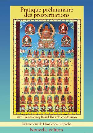 Cover of the book Pratique préliminaire des prosternations aux 35 Bouddhas by Lama Zopa Rinpoché, Pabongkha Détchèn Nyingpo