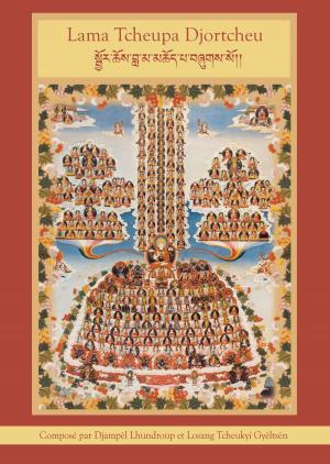 Book cover of Lama Tcheupa Djortcheu