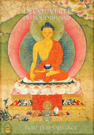 Cover of the book Mort et renaissance by Lama Zopa Rinpoche
