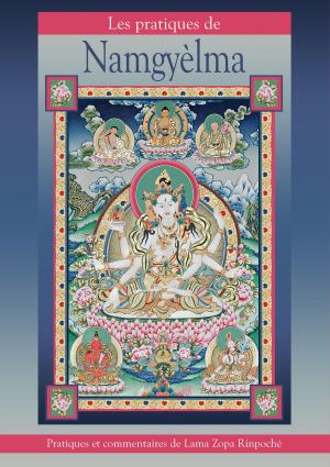 Book cover of Les pratiques de Namgyèlma