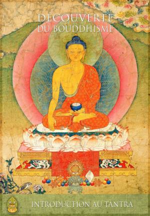 Cover of the book Introduction au tantra by Lama Zopa Rinpoché, Pabongkha Détchèn Nyingpo