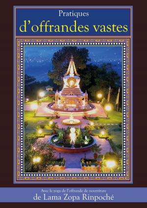 Cover of the book Pratiques d'offrandes vastes by Khenpo Tsultrim Lodro Rinpoche