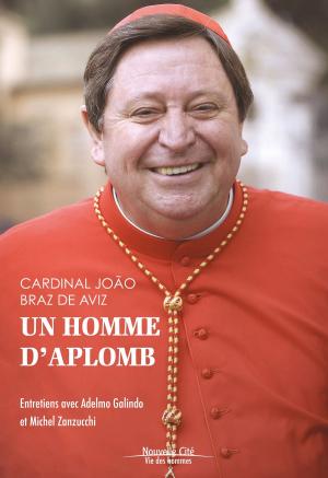 Cover of the book Un homme d'aplomb by Christian Salenson, Jean Vanier