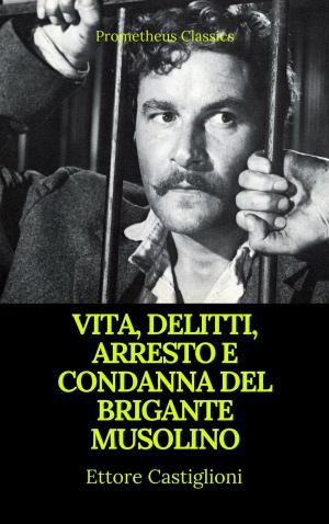 Book cover of Vita, delitti, arresto e condanna del brigante Musolino (Indice attivo)