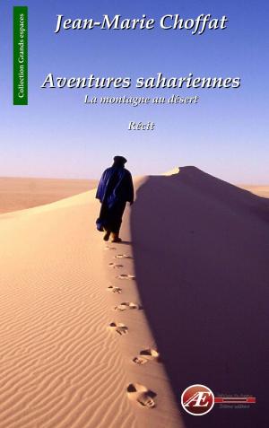 Cover of the book Aventures sahariennes by Irène Chauvy