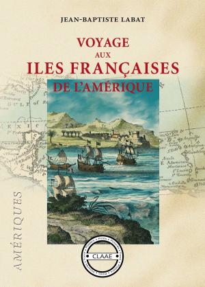 Cover of the book Voyage aux îles françaises de l'Amérique by François-Édouard Raynal