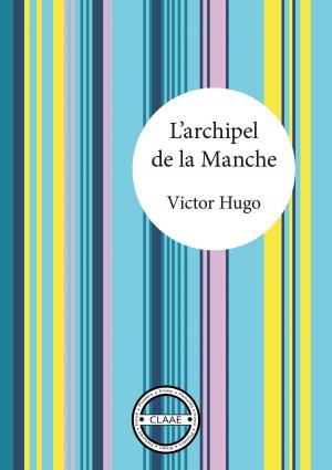 Book cover of L'archipel de la Manche