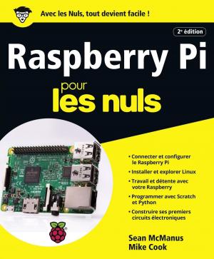 Book cover of Raspberry Pi pour les Nuls grand format, 2e édition