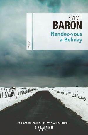 Cover of the book Rendez-vous à Belinay by David Vallat
