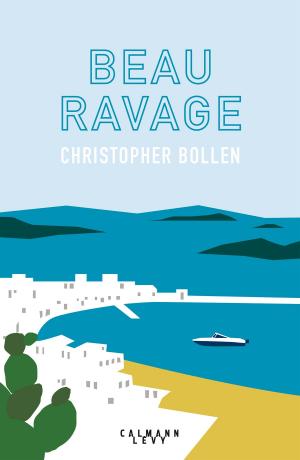 Book cover of Beau ravage