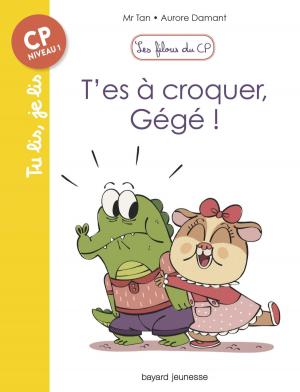 bigCover of the book Les filous du CP, Tome 07 by 