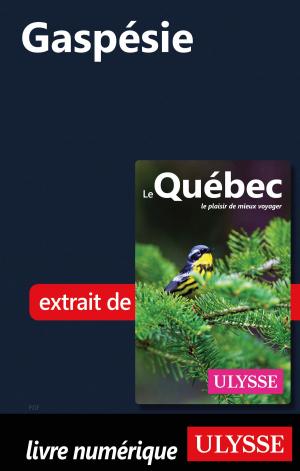 Cover of the book Gaspésie by Émilie Clavel