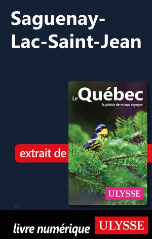 Cover of the book Saguenay-Lac-Saint-Jean by Mathieu Boisvert