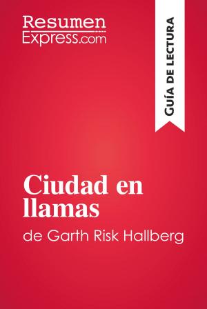 Cover of the book Ciudad en llamas de Garth Risk Hallberg (Guía de lectura) by John Gregory Dunne