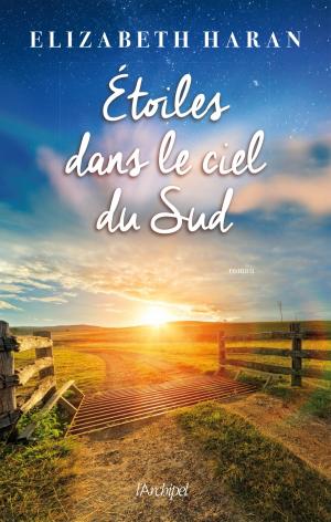 Book cover of Étoiles dans le ciel du Sud