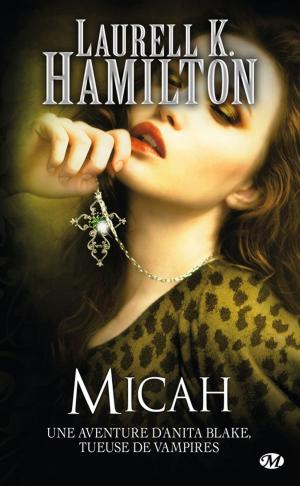 Cover of the book Micah by Joh Harper