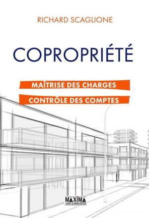 Cover of the book Copropriété : maîtrise des charges et contrôle des comptes by David Demaire