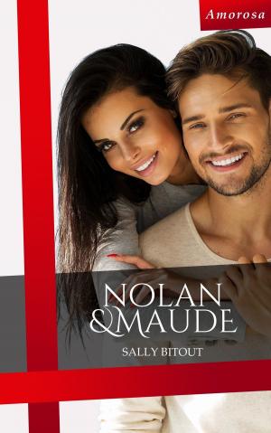Cover of the book Nolan et Maude by David Moitet