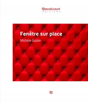 Cover of the book Fenêtre sur place by James Turbett