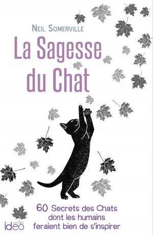 Book cover of La Sagesse du Chat