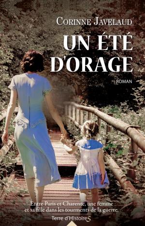 Cover of the book Un été d'orage by Carrie Jones