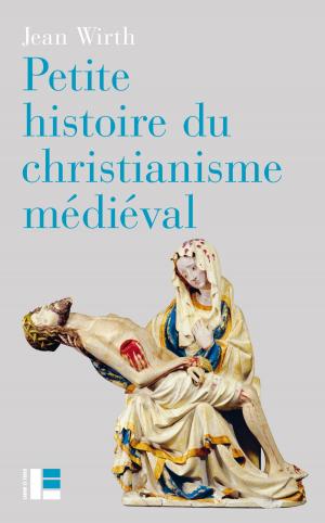 Book cover of Petite histoire du christianisme médiéval