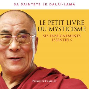Cover of the book Le petit livre du mysticisme by Patrick Drouot